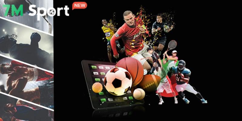 Review Fo88 - Nhà Cái Thể Thao Uy Tín Hàng Đầu Thị Trường 9 Cung cấp đa dạng sản phẩm thể thao hấp dẫn