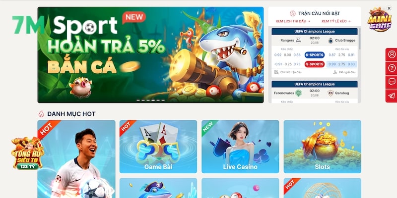 Sin88 - Nhà Cái Cá Cược Thể Thao Đình Đám 2025 8 Các thông tin cơ bản nhất về Sin88