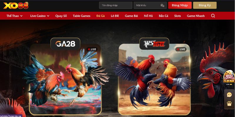 Chất lượng hình ảnh kết hợp âm thanh cực đỉnh